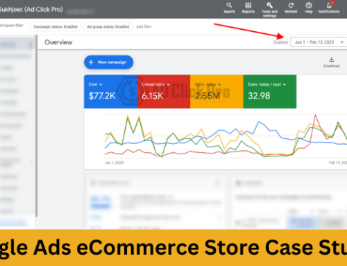 Google Ads eCommerce Store Case Study
