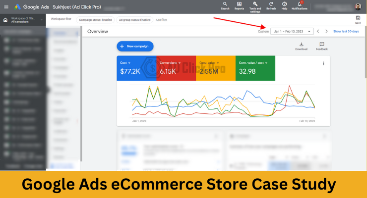 Google Ads eCommerce Store Case Study