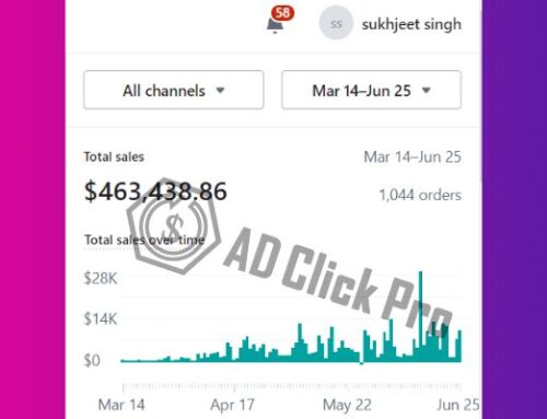 Case Study: How We Generated Revenue From $0 to $463,438.86 by Google Ads